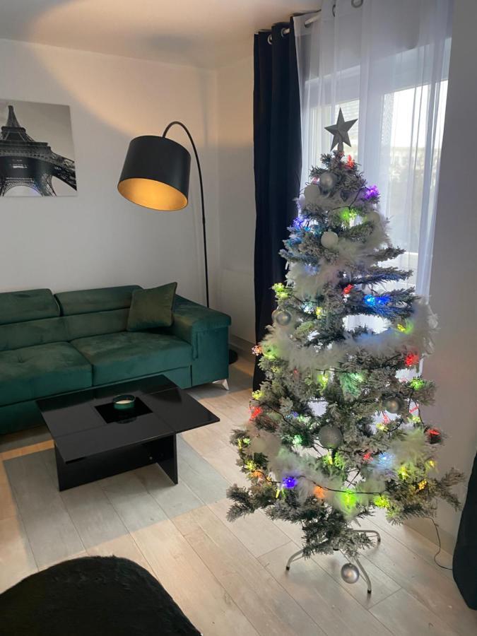Le Grand Dollfus, 90M2 De Charme Au Coeur De Ville Mulhouse Exteriör bild